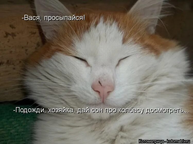 Зачем мы спим ночью 1 класс презентация. Анекдоты про васю смешные. Анекдоты про васю смешные. Вась вставай пора. Фразеологизм к слову гроза.