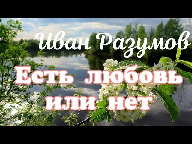 Есть любовь или нет пташица. Есть любовь или нет иван разумов. песня есть любовь или нет пташица. песня ивана разумова есть любовь или нет. есть любовь или нет под гармонь ансамбль пташица слова песни.