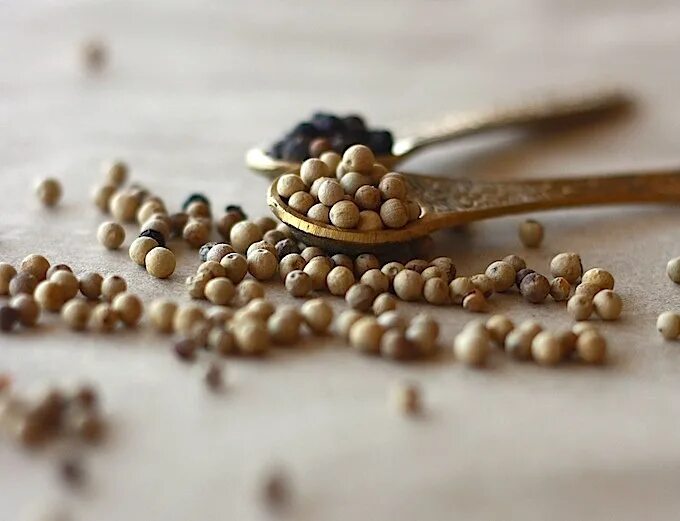 White pepper. Black Pepper Grains. Pepper Grain. Black Pepper Grains with White background.