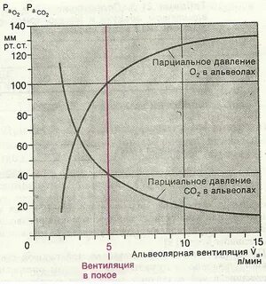 Давление в альвеолах
