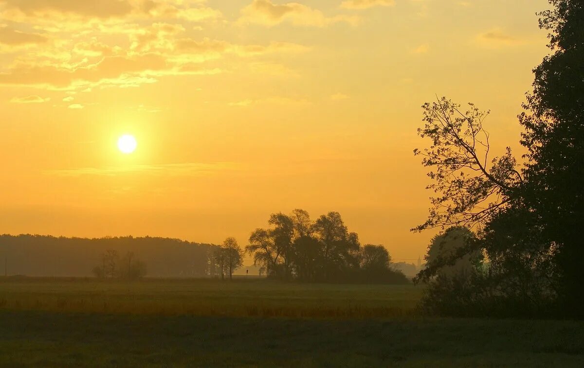 Тютчев уж солнца раскаленный шар. Закат с балкона. Уж на солнце. ). "летний вечер" (ф.