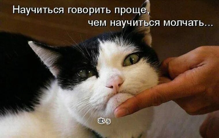 Почему коты молчат