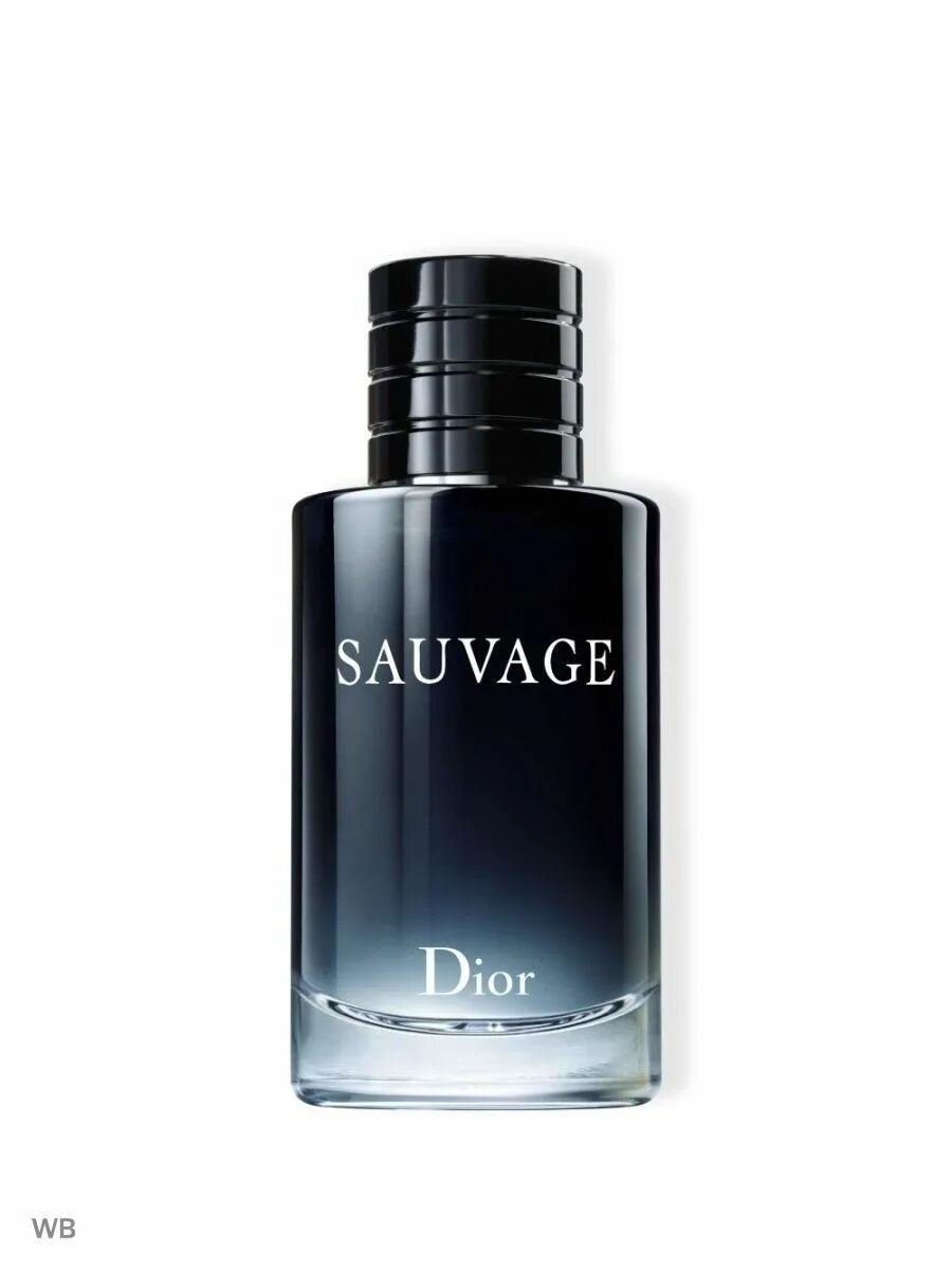 Духи диор мужские sauvage. Dior sauvage 100ml. Духи Саваж диор мужские. Кристиан диор Саваж мужской Парфюм.