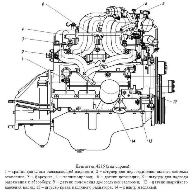 Двигатель газ умз 4216. Двигатель УМЗ 4216 схема. УМЗ 421 схема двигателя инжектор. Система охлаждения двигателя УМЗ 4216 схема. Схема охлаждения двигателя УМЗ 4216.