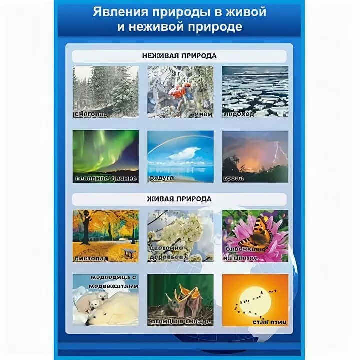 Примеры весенних явлений живой природы 2 класс. Явления живой и неживой природы. Живые и неживые природные явления. Явления живой и неживой природы 2. Яелентя живой и неживой природы.