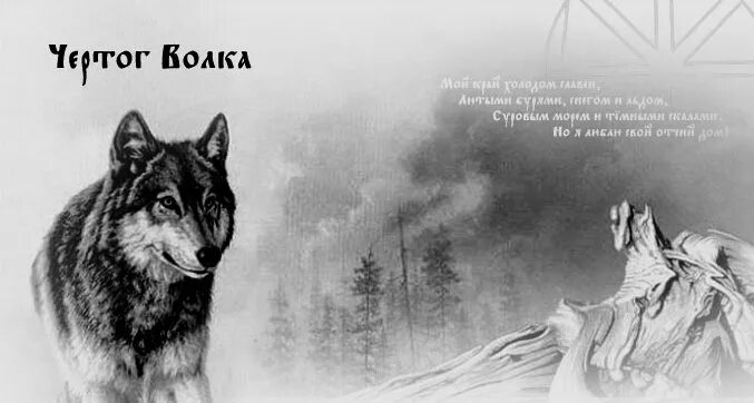 Волки mp3. Человек человеку волк песня. The wolf песня. Песня ария волки. Человек и волк песня.