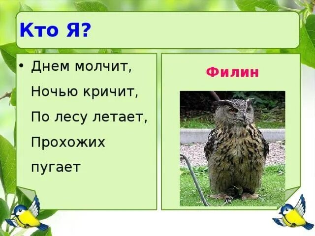 Отгадай загадку день и ночь. Загадка днём молчит ночью кричит. Днем молчит ночью кричит по лесу летает прохожих пугает ответ. Днем молчит ночью кричит по лесу. По лесу летает прохожих пугает.