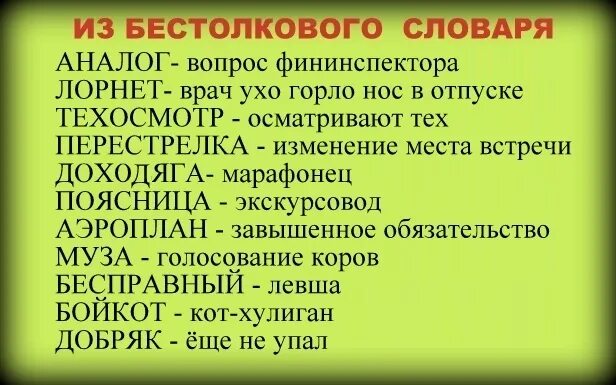 Бестолково предложение. Бестолковый словарь. Бестолковый словарь русского языка. Самый бестолковый словарь. Бестолковый словарь книга.