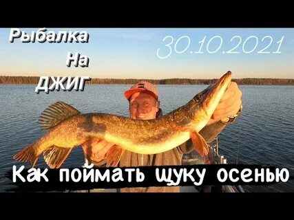 Клев щуки осенью