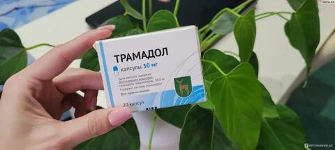 Трамадол по рецепту или нет