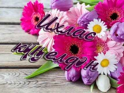 Укытучылар коне белэн котлаулар
