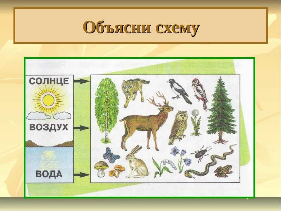 Связи с помощью моделей. Схема связи живой и неживой природы 2 класс окружающий мир. Связь Живая и неживая природа 2 класс невидимые нити в. Как связаны между собой неживая и Живая природа. Невидимые нити схема.