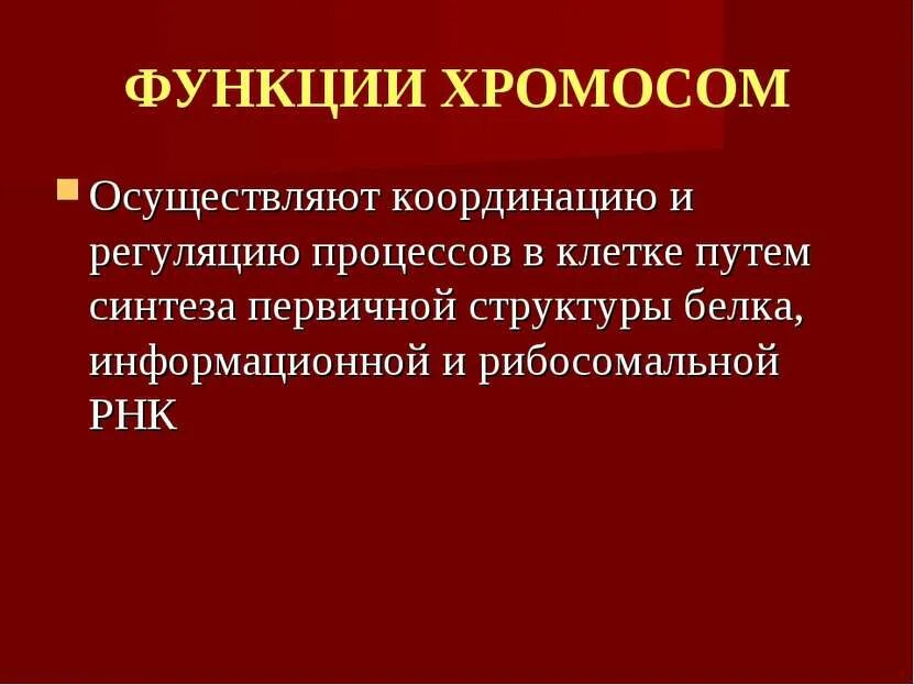 Функции белков в хромосоме. Функции хромосом. хромосомы особенности функции. функции хромосом кратко. структура и функции хромосом.