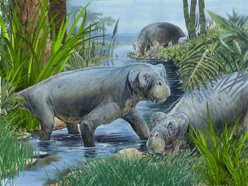 Листрозавр Триасового периода. Листрозавры (Lystrosaurus),. Листрозавр динозавр Триасового периода. Листрозавр Пермского периода. Мезая