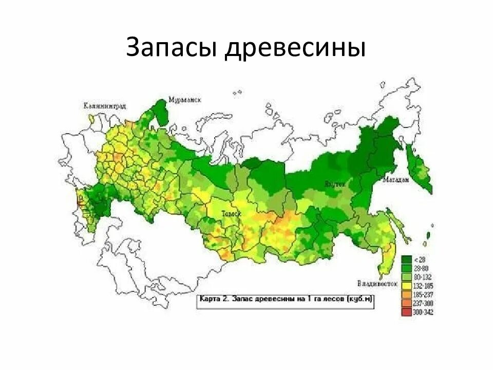 Регионы россии богатые лесными ресурсами. Лесные запасы России карта. Карта запасов древесины в России. Лесные ресурсы России карта лесистость. Регионы России на карте Лесные ресурсы.