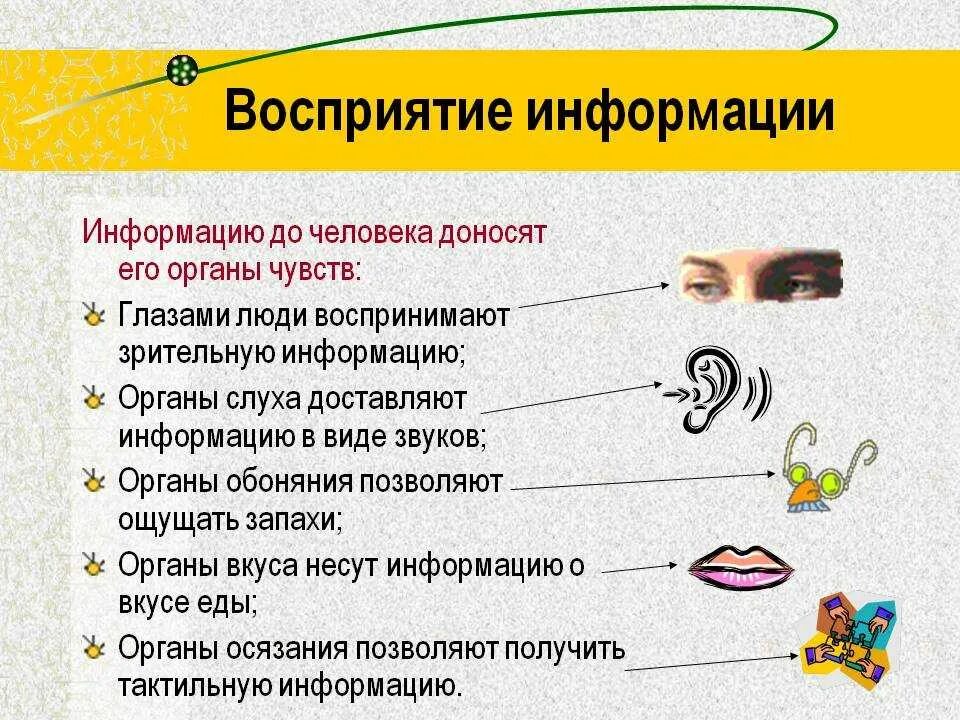 Как называют который воспринимает