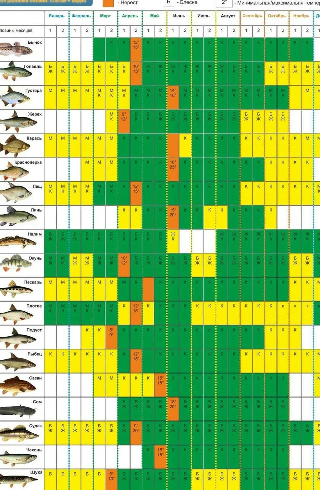 Прогноз клева в ярославской области. Лунный календарь рыболова на 2022. Лунный календарь рыболова на 2022 год. Таблица когда клюет рыба. Рыбацкий календарь Ростовская область на 2022.