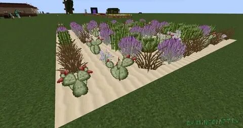 Dreamcraft