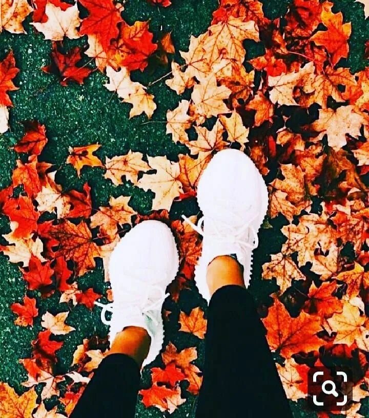 Pin on rrr Autumn photography, Autumn aesthetic, Creative profile picture