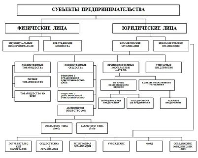 Компаний и физических лиц деятельность