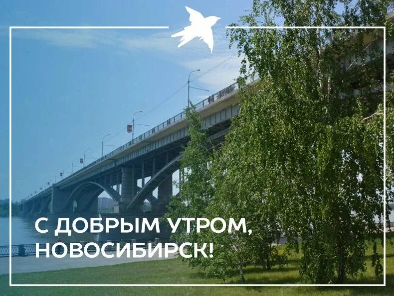 Добдоброе утро новосибирск. День города новосибирск 2022. Хороший день новосибирск. Хороший день новосибирск. День города новосибирск.