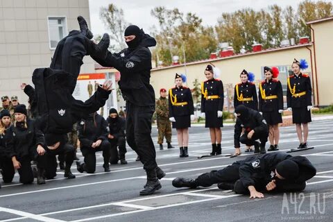 Сколько собра