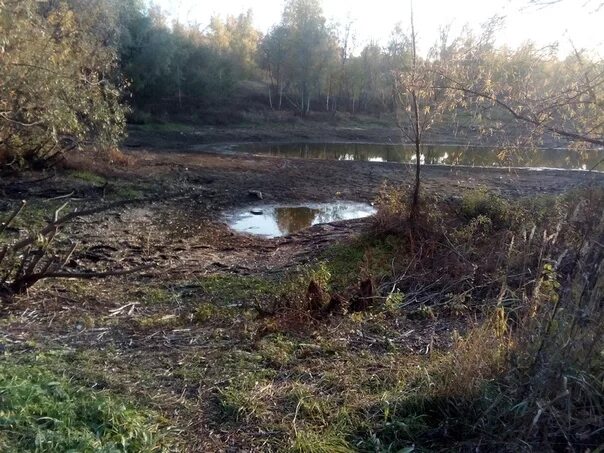 Находится в низине. Озеро варежка Барнаул. Варежка на Южном Барнаул. Озеро варежка Южный. Поселок Южный Барнаул озеро варежка.