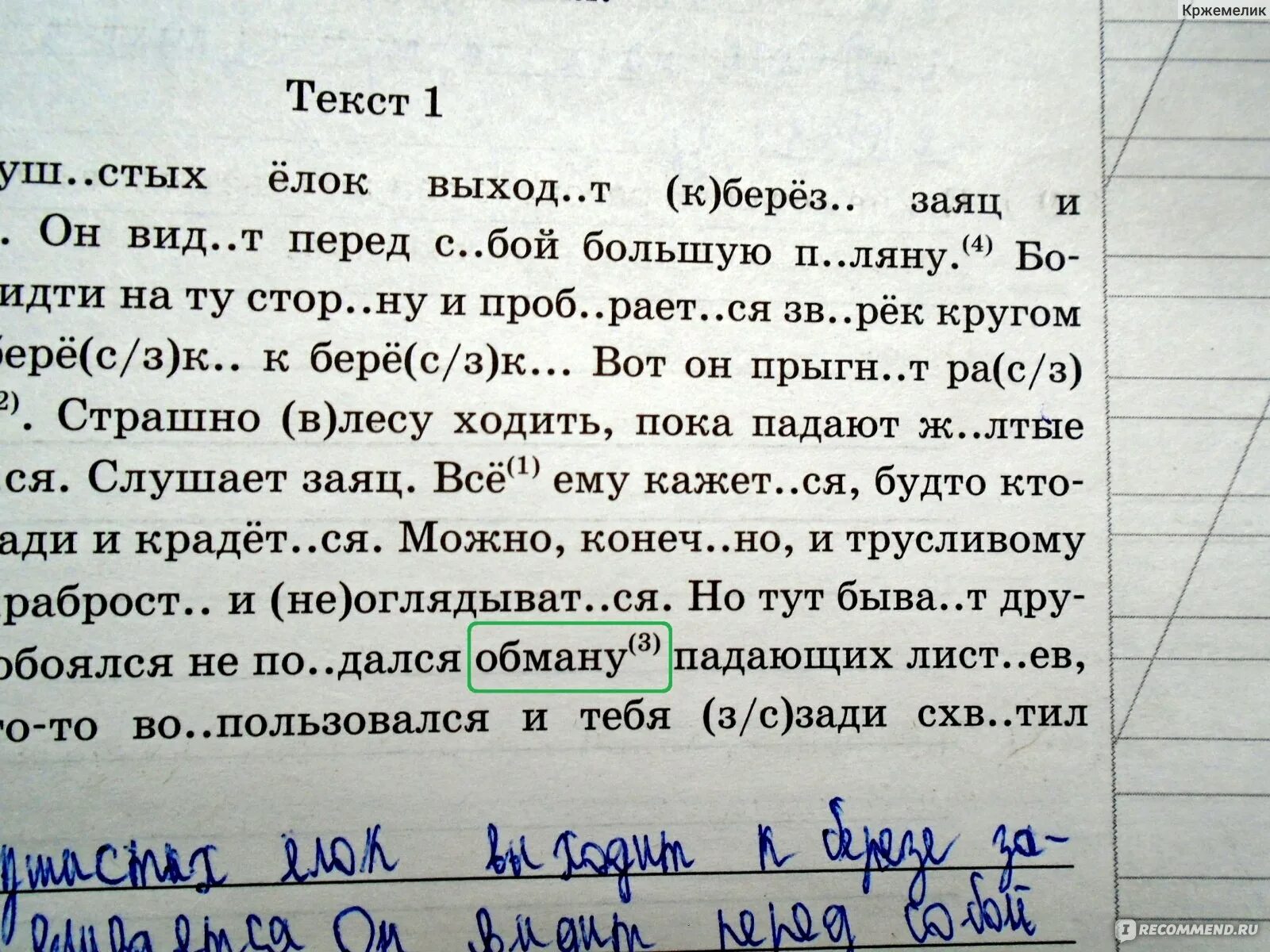 Проверка впр по русскому языку 5 класс. ВПР 5 класс русский а ю Кузнецов о в Сененко. ВПР по русскому языку 5 класс Кузнецов Сененко. ВПР русский язык 5 класс Кузнецов Сененко ответы. ВПР по 5 классу по русскому языку Кузнецова Сененко 25 вариантов.