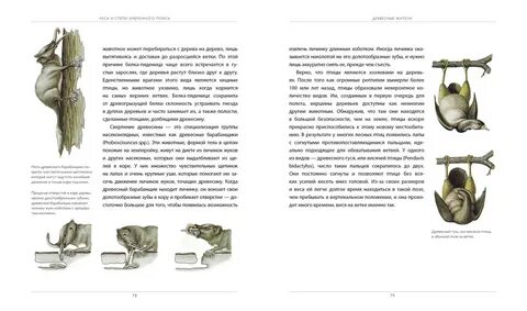Человек после человека книга