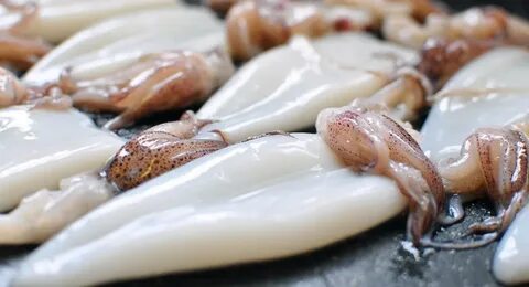 Лучшие кальмары