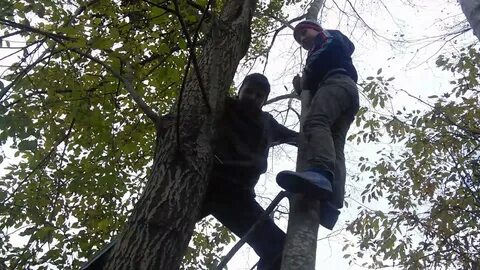 Такой зачет на деревьях не