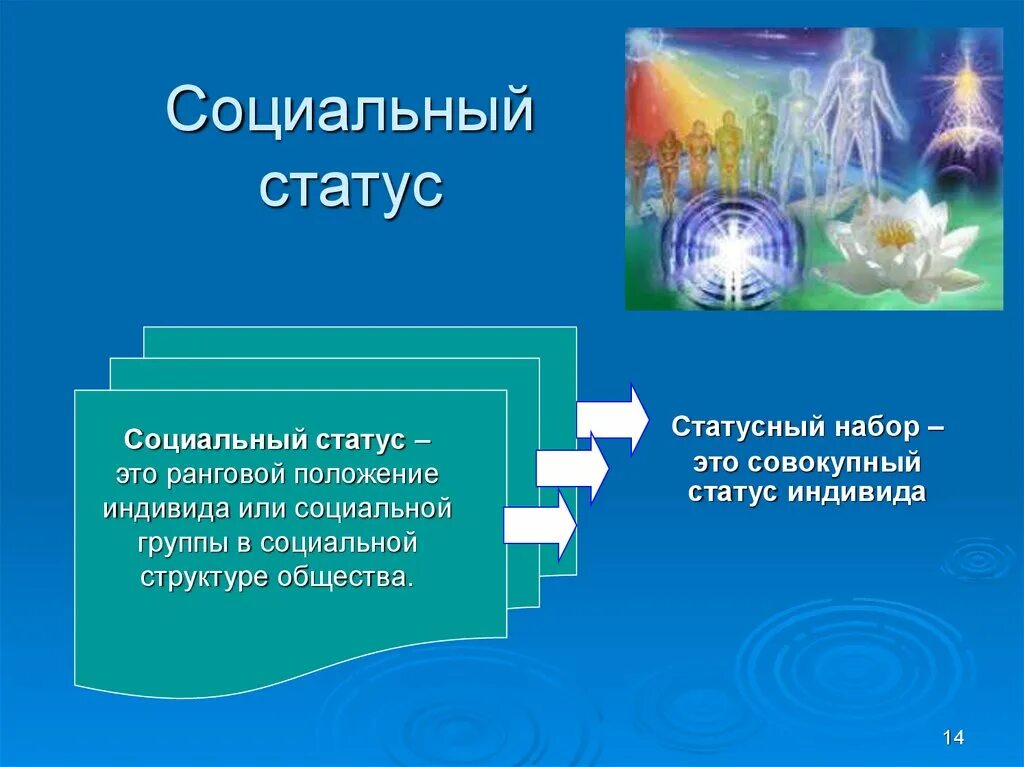 Социальный статус индивида. Ранговый социальный статус. Социальная структура общества вывод. Социальная структура здоровья. Моисеев структура общества презентация.