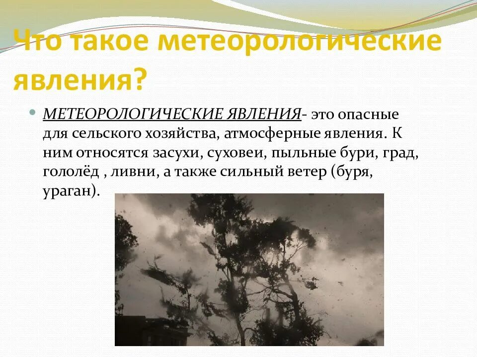 Явление определение кратко. Явление определение кратко
