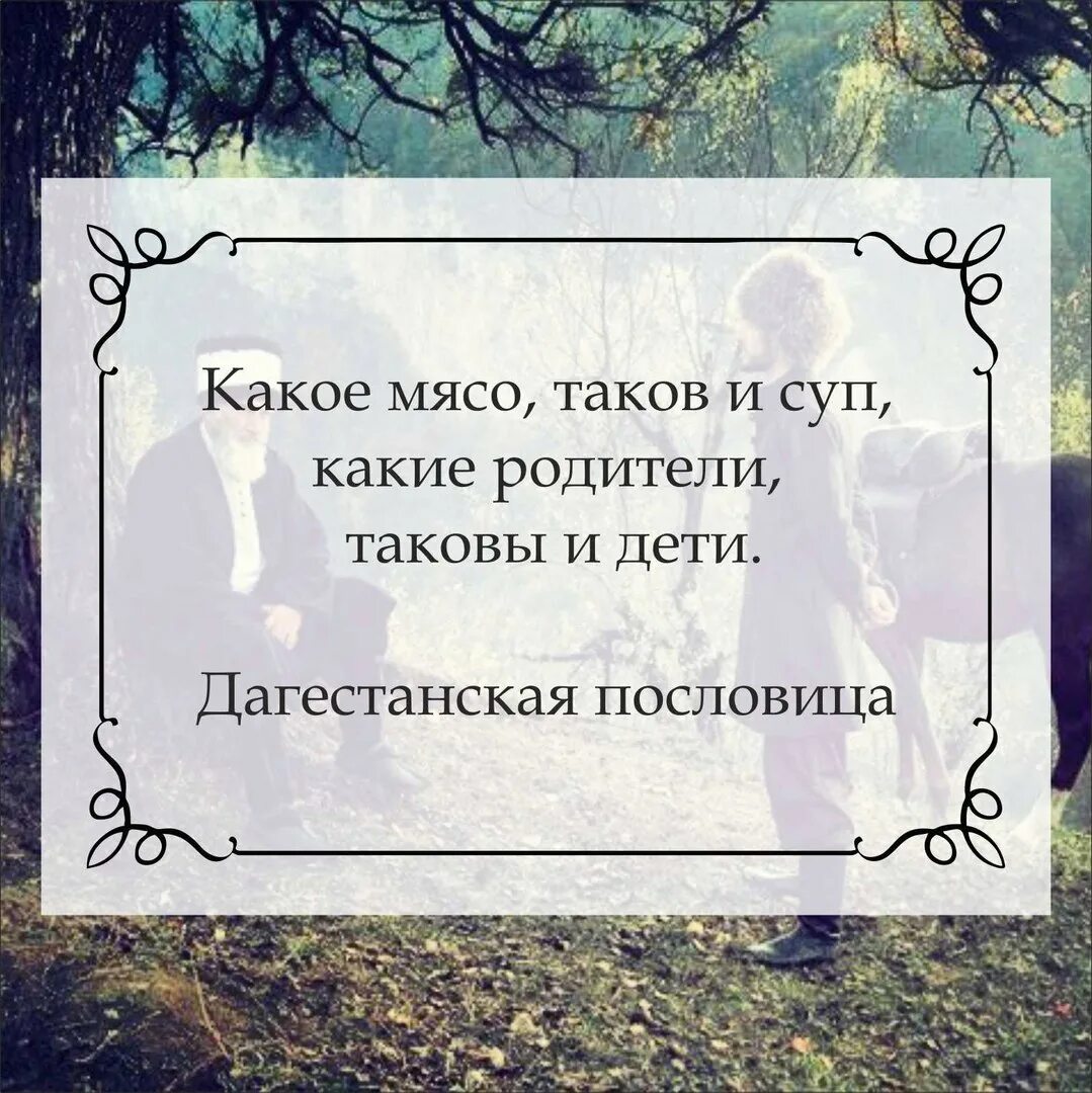 Чеченские пословицы и поговорки. Чеченские пословицы и поговорки. Чеченские пословицы. Чеченские поговорки. Пословицы и поговорки народов кавказа.