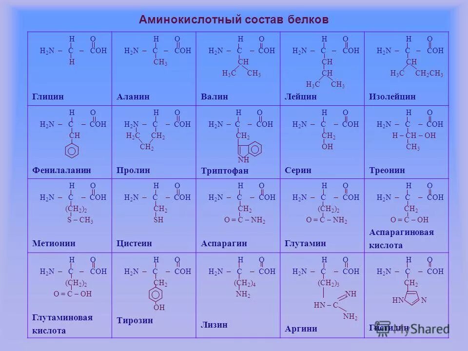 20 альфа аминокислот. C5h12 структура. С6н14 изомеры формулы. Таблица 20 аминокислот химия. Состав h c.
