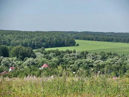 Поселок садовый тульская область