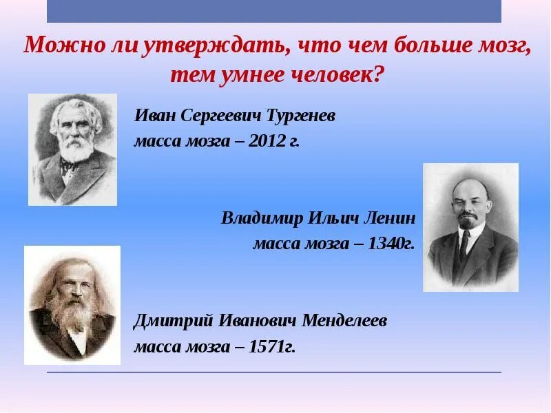 Вес мозга Тургенева. Тургенев мозг. Мозг известных людей. Масса мозга известных людей.