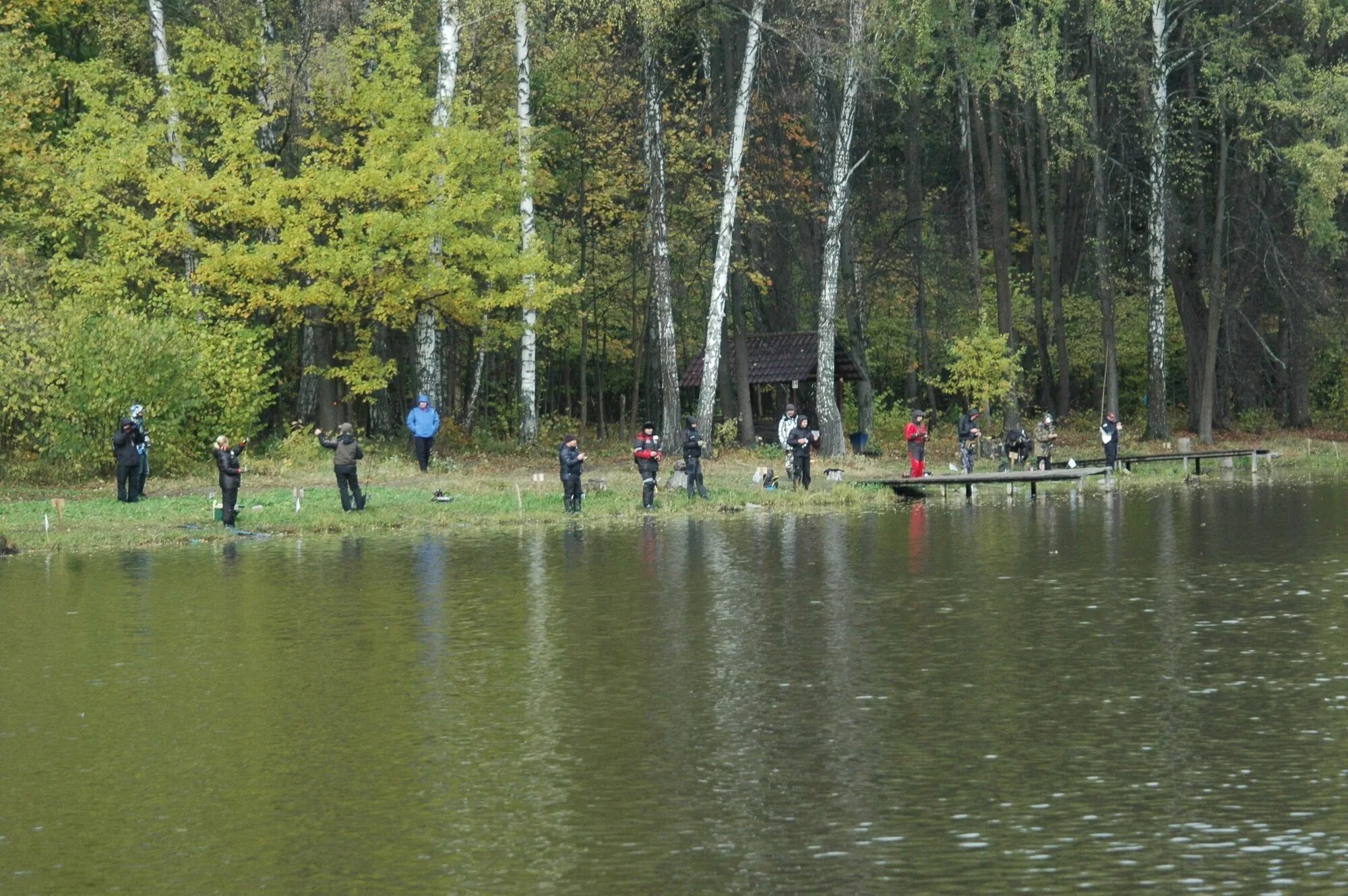 Платный лосиный остров