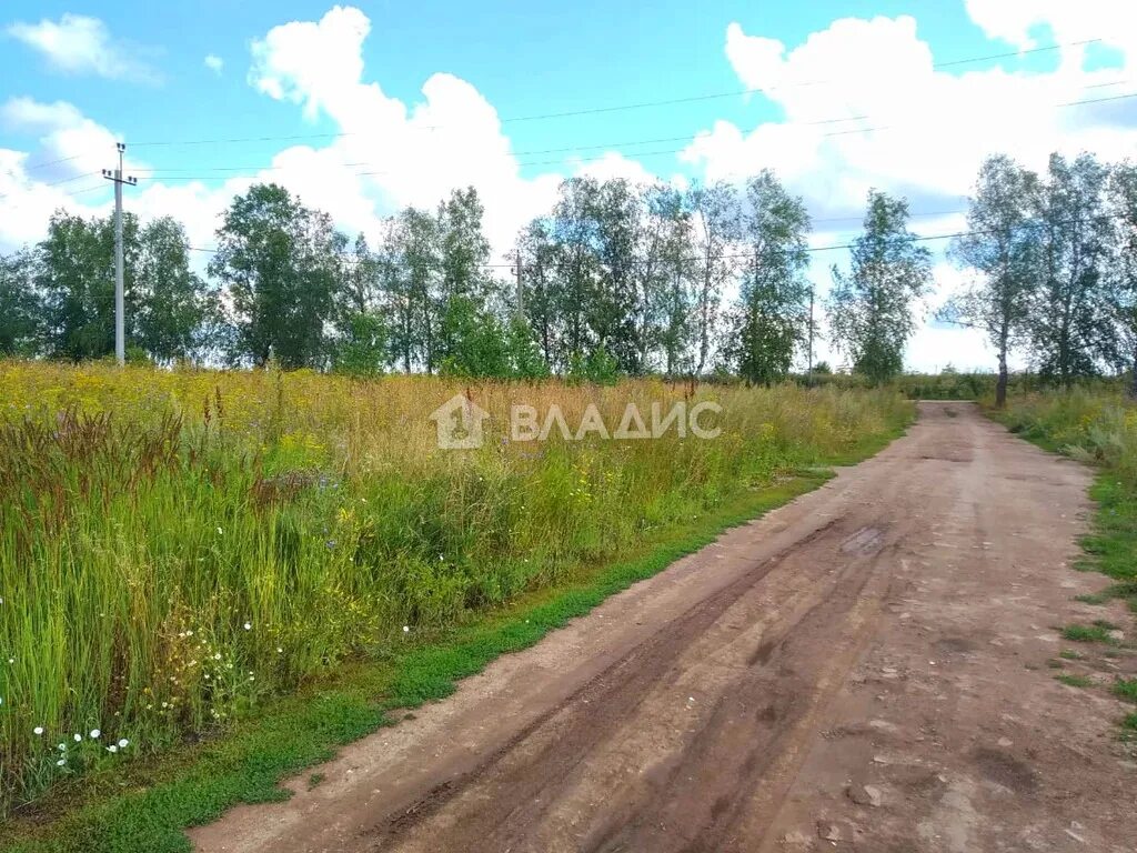 Деревня ижевская. Деревня байкузино ижевск.