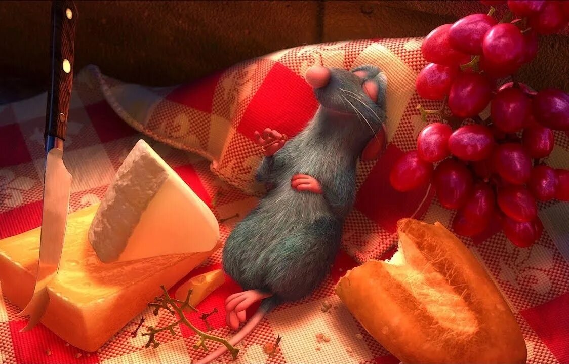 Котенок и мышонок. Кошка и крыса. Кошка и крыса. Крыс кис киса. Эмоции животных.