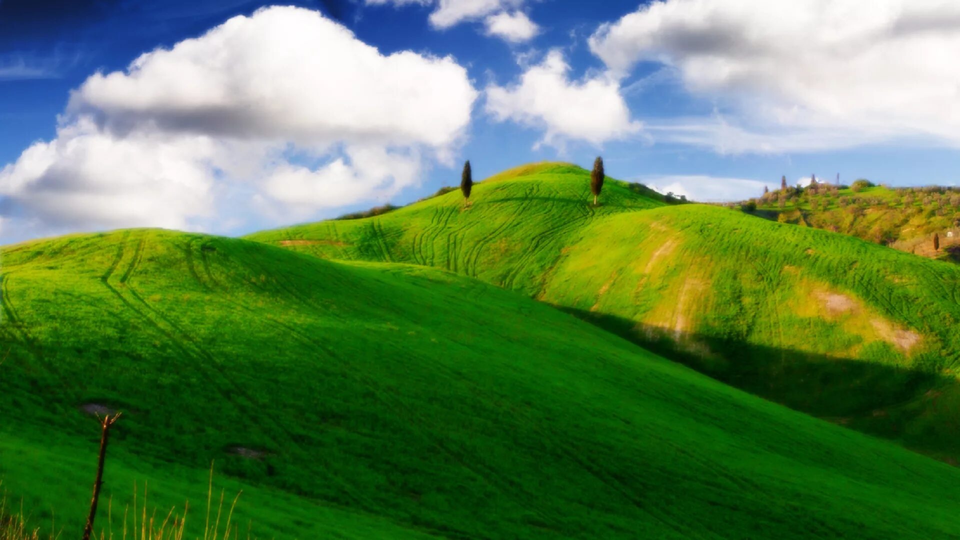 Хороша холм. Green Hills зеленые холмы. Зеленые холмы 212525. Холмистая равнина Тоскана. Green Hills Чехия.