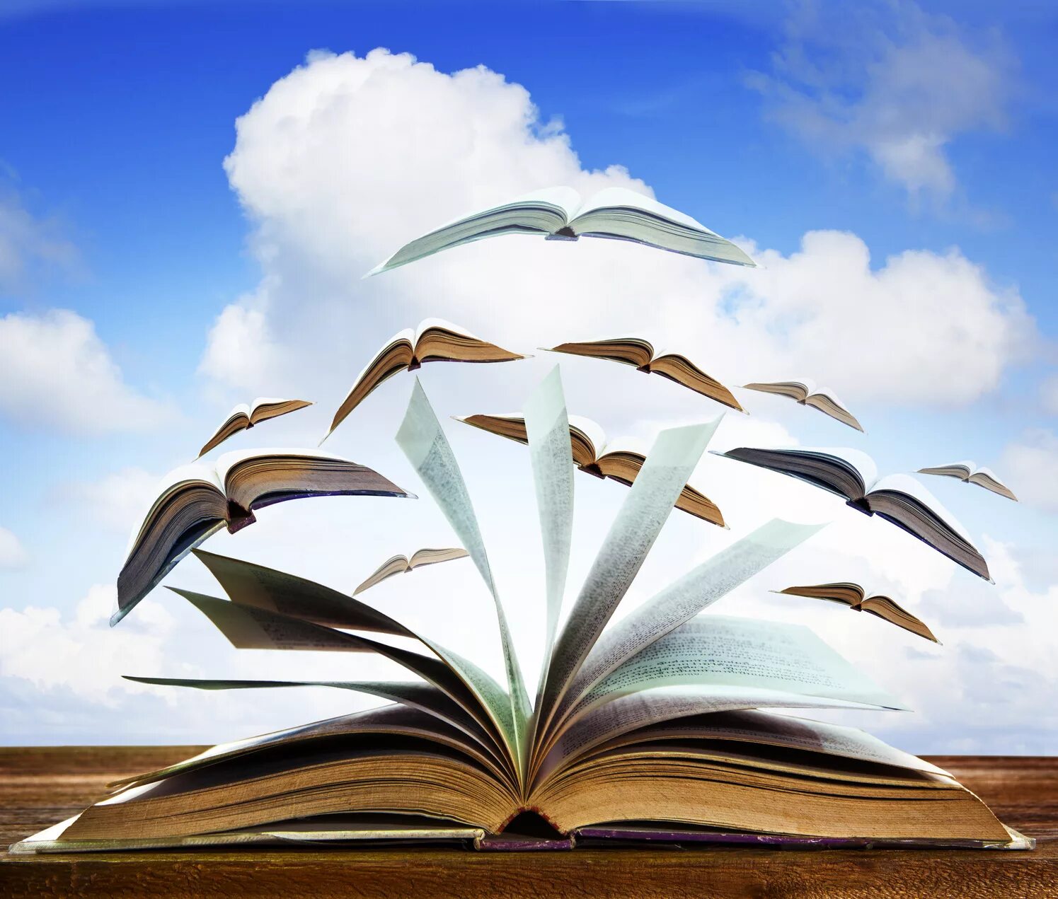 Экологические знания. Окружающее раскрытый. Экологический фон. Книга и природа на прозрачном фоне. Книги по экологии картинки.