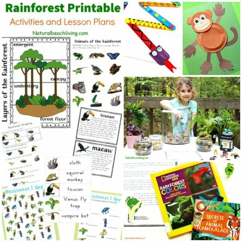 Forest activities. Гамак в соснах. Люди в лесу гуляют поход. Ленд арт в детском. Forest activities.