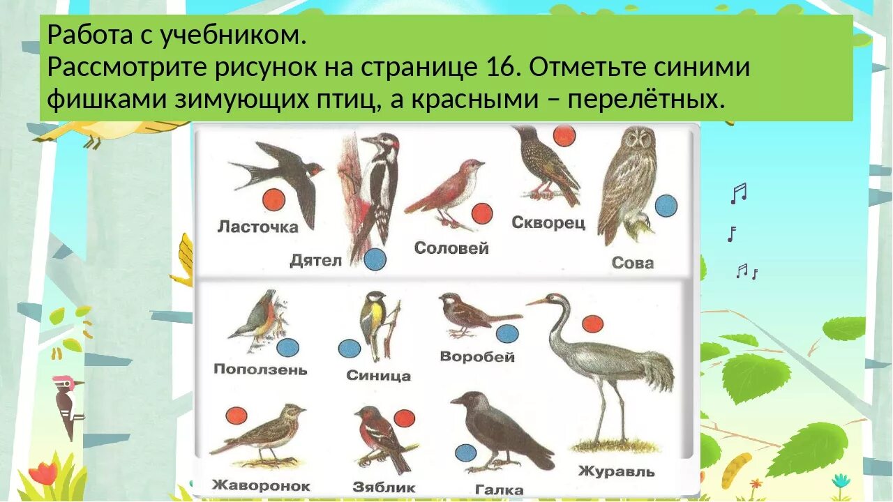 Перелетные птицы 1 класс окружающий мир школа России. Перелетные и зимующие птицы 1 класс окружающий мир школа России. Перелетные и зимующие птицы 1 класс окружающий мир. Птицы 1 класс окружающий мир.