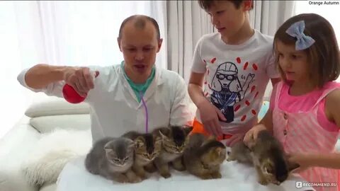 Снять кате