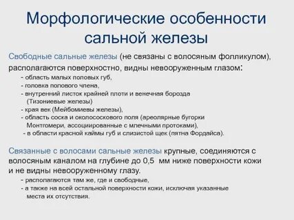 Особенности железы