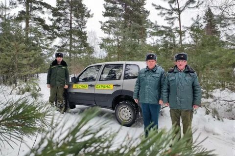 Егорьевское лесничество