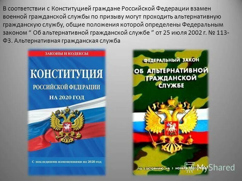 Положение о порядке прохождения военной службы. Альтернативная Гражданская служба. ФЗ об альтернативной гражданской службе. Альтернативная Военная служба закон. Альтернативная Гражданская служба в РФ.