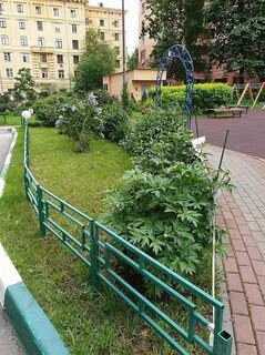 Двор советов
