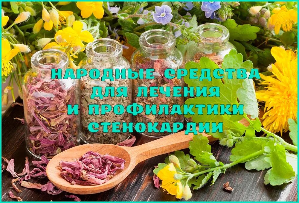 Народные рецепты от болезней. Народные средства лечения сердца у женщин. Фитотерапия. Народные рецепты лекарств. Народные средства лечения сердца у женщин.